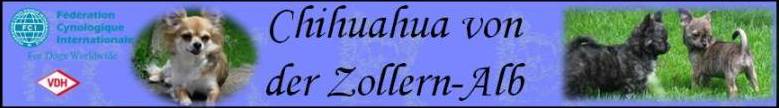 Banner Chihuahua von der Zollern-Alb
